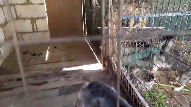 Ролик в поддержку людям болеющим онкологией. смотреть онлайн