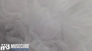 Сказка о белом тигре. Театр Иллюзии. 02.12.2023. Видеорепортаж