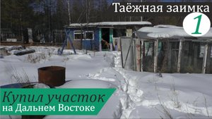 Купил участок с домиком на Дальнем Востоке. Таёжная заимка, часть 1