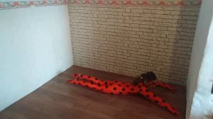 Зарядка с Леди Баг