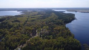Рязанская область, Клепиковский район, Ялмонть. Церковь Николая Чудотворца.