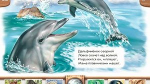 Стихи про диких животных (медведя, дельфина, павлина).