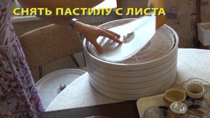 Фруктово - ягодная ПАСТИЛА - альтернатива вредным конфетам