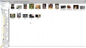 Групповое Переименование файлов в Windows