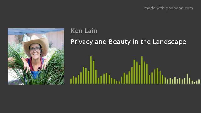 Privacy and Beauty in the Landscape смотреть онлайн