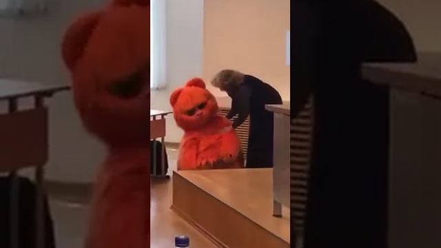 Кот на парах ;) смотреть онлайн