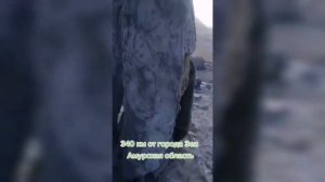 Амурчане поверили в фейк с откопанной статуей ангела на Эльгинском месторождении