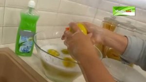 Экосредство для мытья посуды Марго