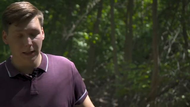 Молодёжь Губернии - Всемирный день бездомных животных смотреть онлайн