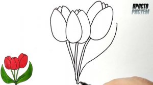 Как нарисовать ТЮЛЬПАНЫ, Рисунок для начинающих