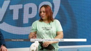 Корниш-рекс: в чем особенности этой породы?