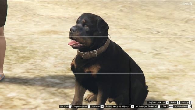 Животные во Всех Частях GTA ? смотреть онлайн