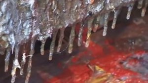 Секреты живописи маслом.