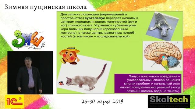 Лекция «Мозг и движения» | ЗПШ 2019 смотреть онлайн