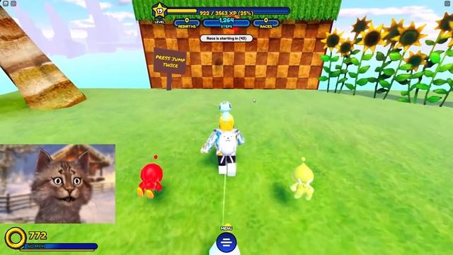Becoming The Fastest In Roblox Sonic Speed Simulator смотреть онлайн