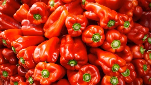 В 4 утра / Почему кот в мешке? смотреть онлайн