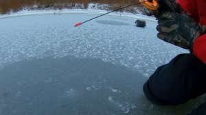 Первый Лёд! БЕЗМОТЫЛКА РУЛИТ! Отличный КЛЕВ Окуня!