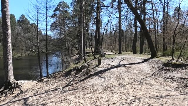 Пуща водица. Panasonic HC-V800 смотреть онлайн