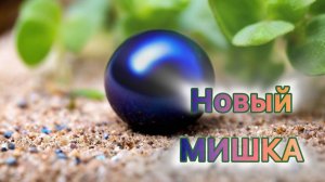 Moschino Toy 2 Pearl: выбор в пользу цитрусов и орегано, или "Арбузиком пахнет!"