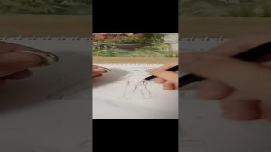 Из девочки и  мальчики делаем мальчика.