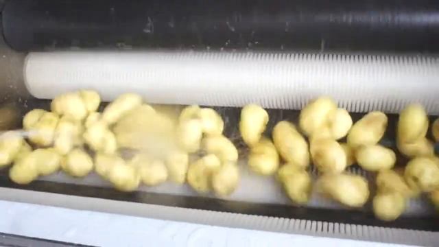Машина мойки чистки овощей корнеплодов