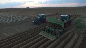 Une saison de plantation de pommes de terre en Picardie