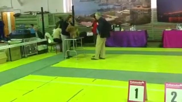 Моно АКС 29.09.2013 Владивосток 3 смотреть онлайн