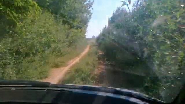 07.08.2013.Гмелинка )))))
