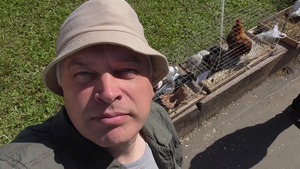 Я в парке снял видео про голубей. Голуби и куры