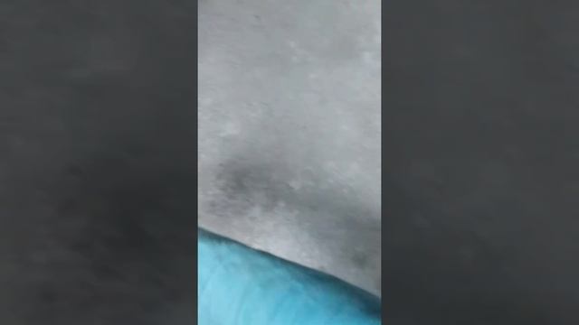 Как размешать фуген смотреть онлайн