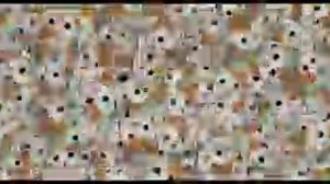 Ужасный мутант хомячок.flv