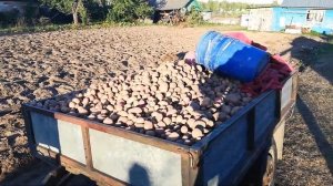 Копка картофеля самодельным трактором из луаза и модернизация копалки