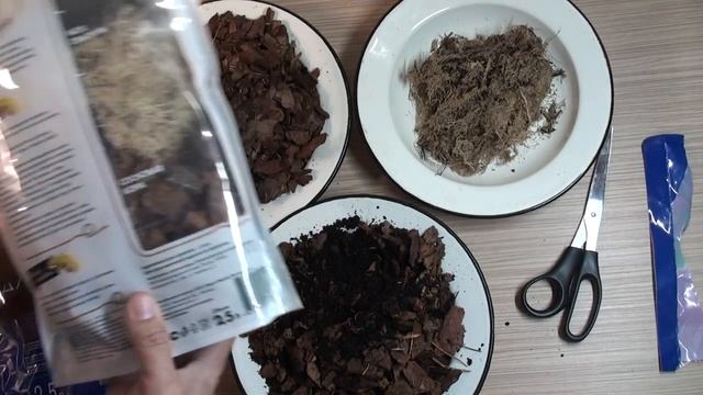 ПЕРЕСАДКА и ГРУНТ для ОРХИДЕИ 1-я часть смотреть онлайн