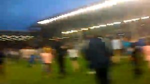 Tony hibbert pitch invasion