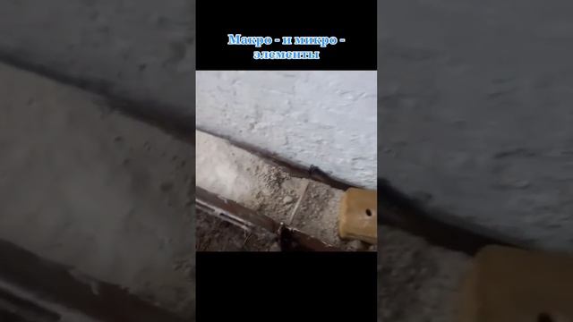 казак кой центр смотреть онлайн