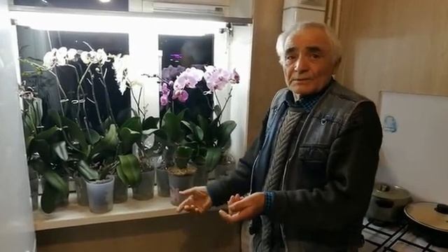 Как ухаживать и поливать орхидеи. СОРТОВЫЕ ОРХИДЕИ ПРОСТЕЙШИЙ УХОД и ДОЛГОЕ ЦВЕТЕНИЕ