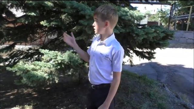 Банников Константин 7в смотреть онлайн