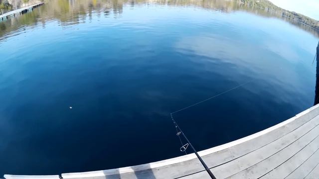 Ловля форели на платнике