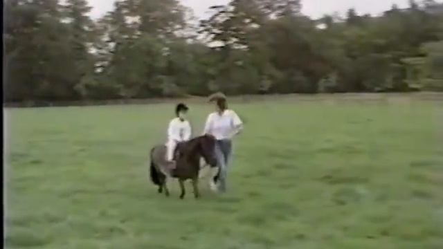 Princess Diana accompanying Prince William and Prince Harry pony riding in Highgrove смотреть онлайн