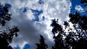 VLOG: лес / небо / облака