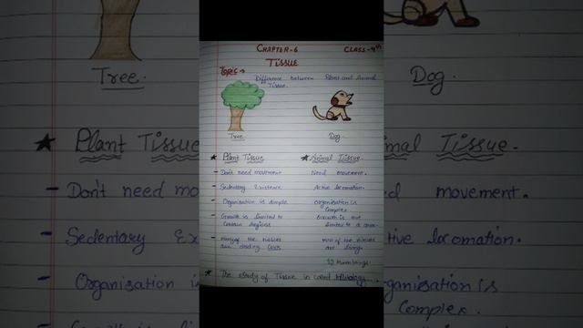 || Difference between Plant Vs Animal tissue || class-9th || by Nikita mam ||