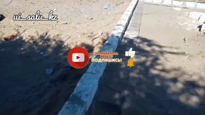 Ұзақ күткен қалау. Долгожданная кладка ракушняка.