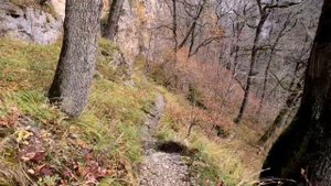 Адыгея | Ущелье Мишоко