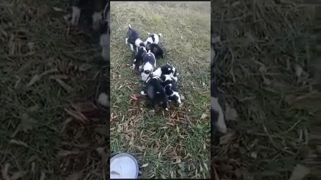 Их уже не 16, а 13. Продолжение истории читайте в описании ? смотреть онлайн