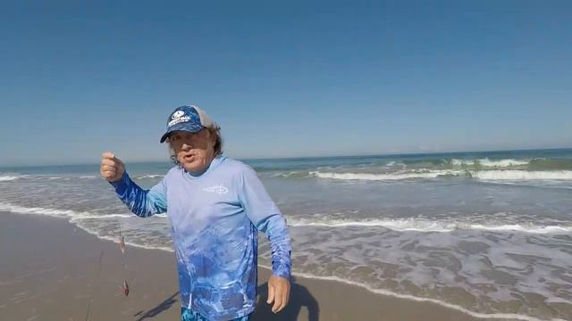 Маленькая, но уже акула. Пляжная рыбалка. Beach fishing. Florida.