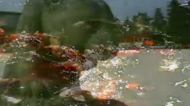 Японская мелодия Бамбуковая флейта смотреть онлайн