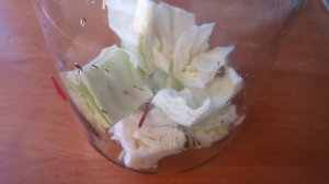 СОЛЁНАЯ КАПУСТА СО СВЕКЛОЙ И МОРКОВЬЮ.ХРУСТЯЩАЯ И ОЧЕНЬ ВКУСНАЯ!
