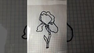 Переводим рисунок с телефона на бумагу