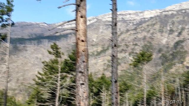 Крымские горы. Стильская тропа
