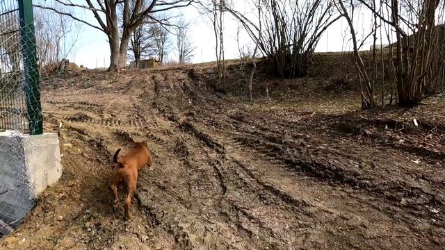 Озеру конец, Граф в кровь, пирожки на костре, спайк напал на луну смотреть онлайн